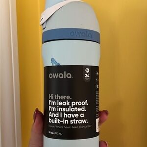 Disney Cinderella Owala